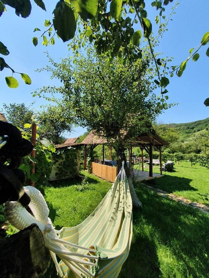 Valchid Guest House Εξωτερικό φωτογραφία