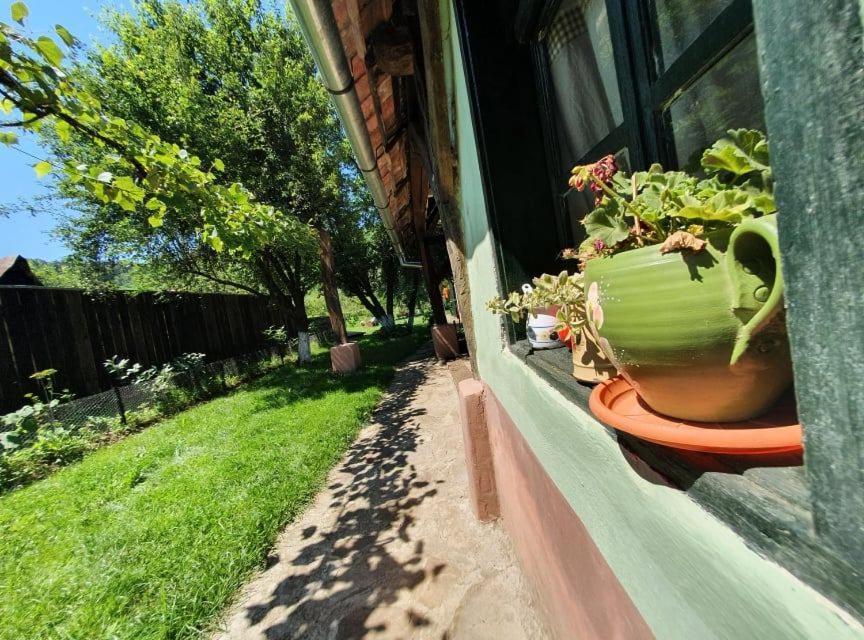 Valchid Guest House Εξωτερικό φωτογραφία