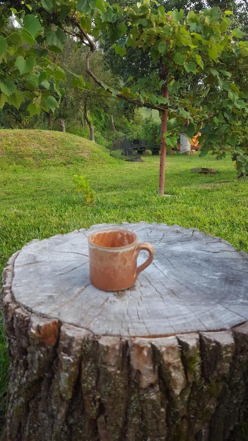 Valchid Guest House Εξωτερικό φωτογραφία