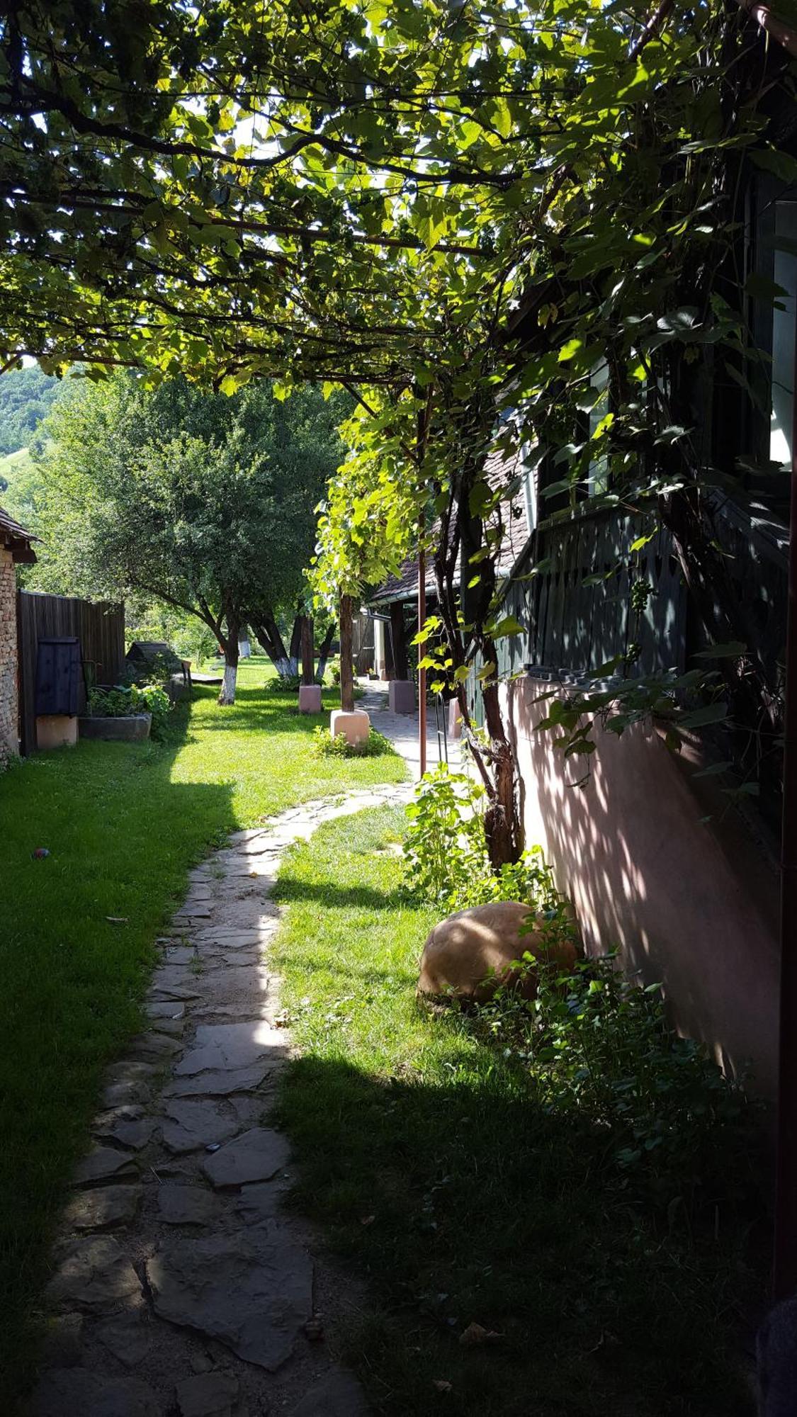 Valchid Guest House Εξωτερικό φωτογραφία